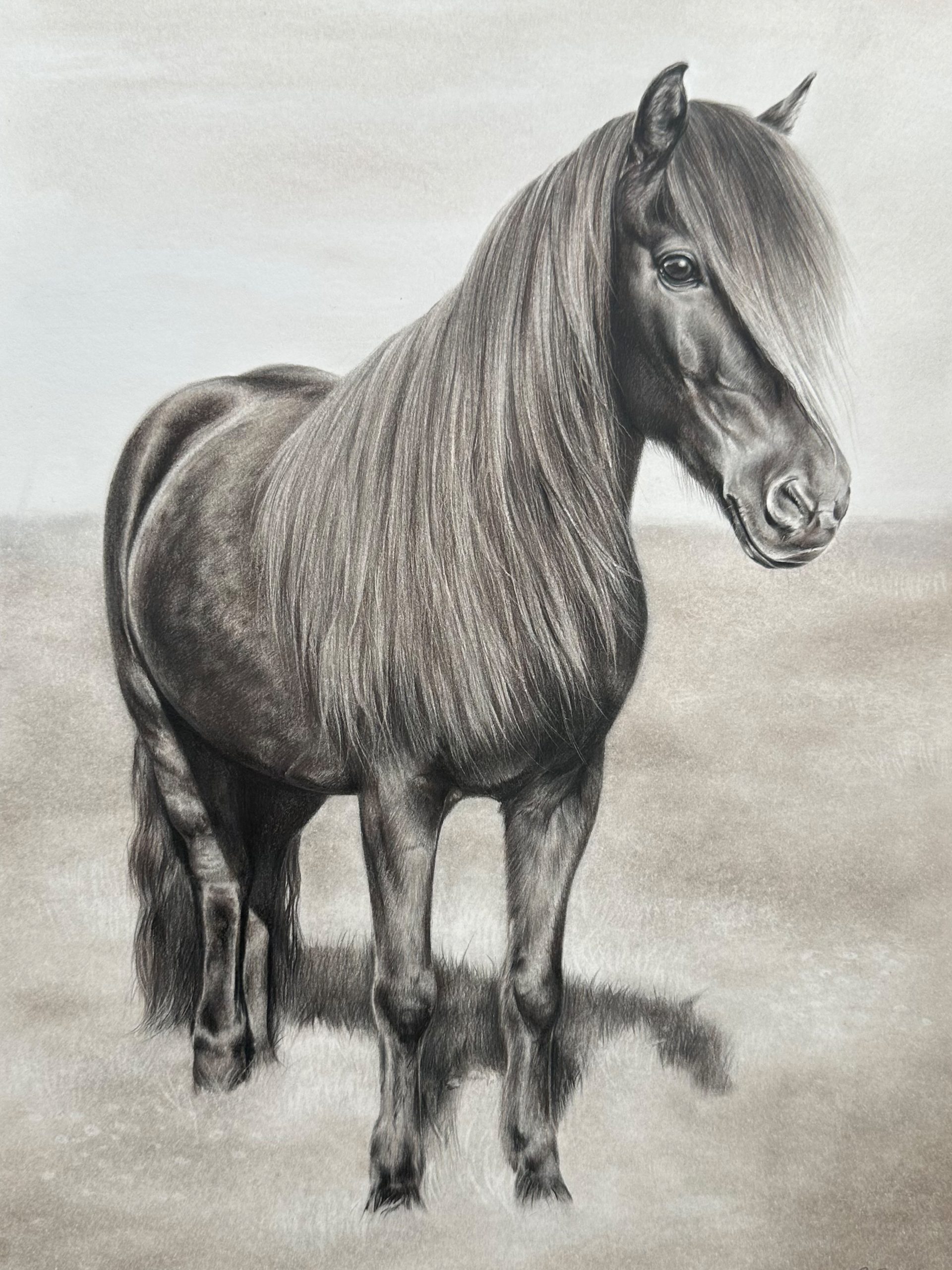 Referenzbilder_0002_14