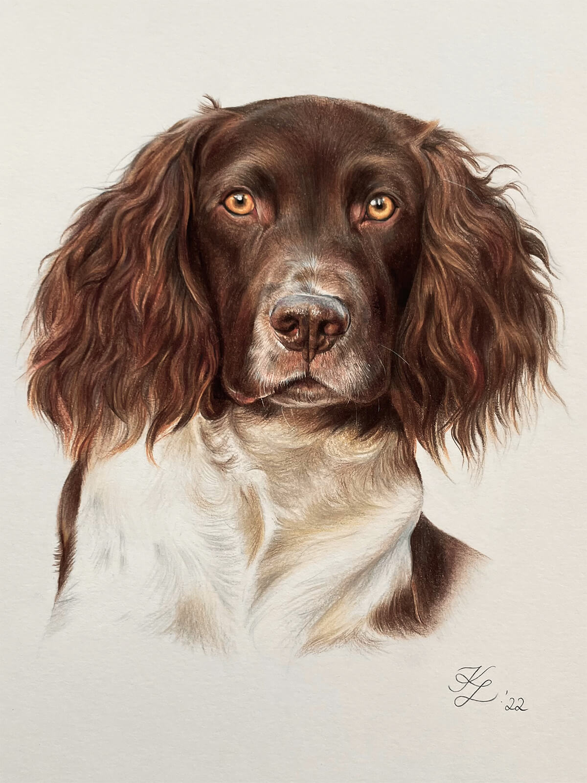 Pastellgemälde Deutsch Langhaar