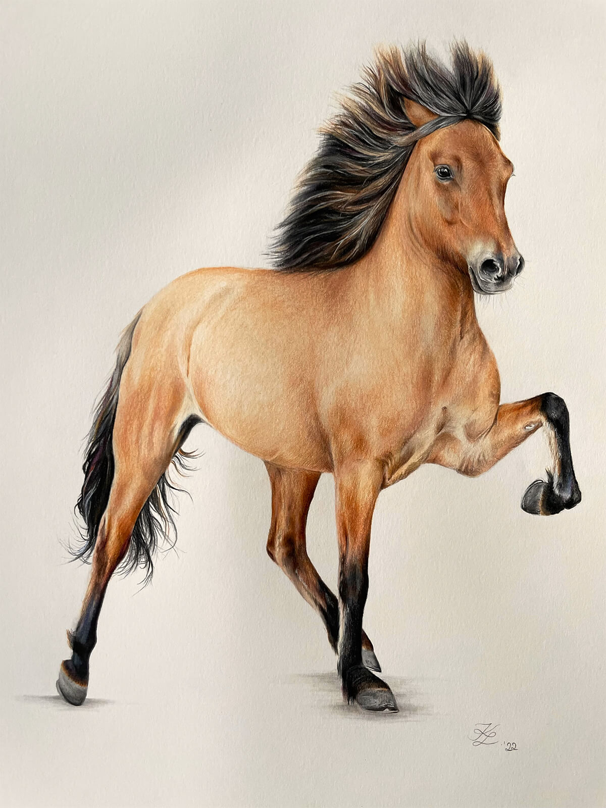 Pastellgemälde Bjalla frá Midsitju Islandpferd