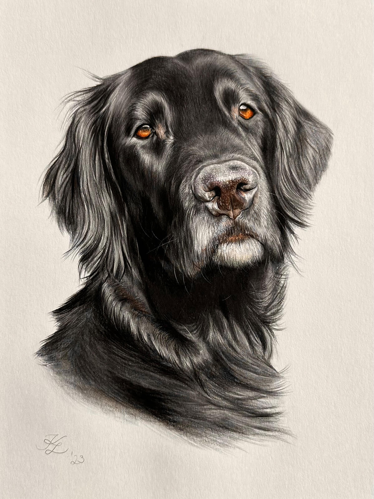 Pastellgemälde Flat Coated Retriever